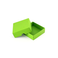 Two Piece Small Square Light Green Cardboard Gift Box
