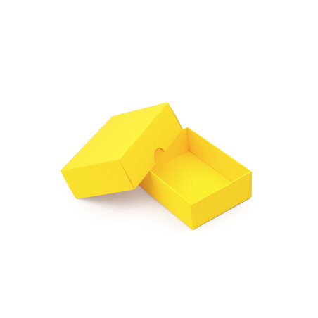 Yellow 2-PC Small Rectangle Gift Box