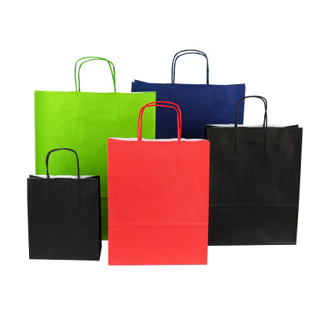 Green Paper Bag with Twist Paper Handles