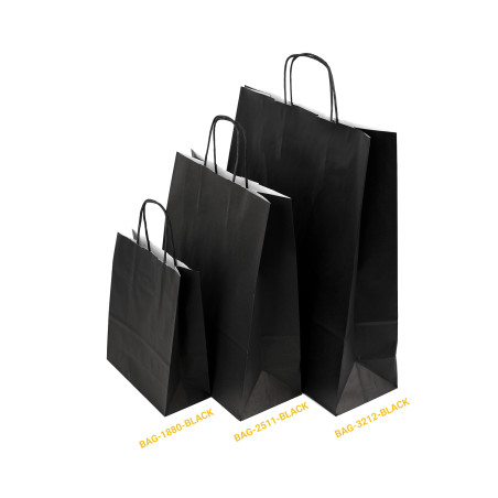 Paper Bag Black with Twisted Paper Handles, Small