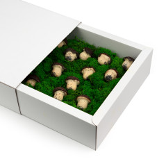 White Large Sleeve Gift Box from Corrugated Board for Books