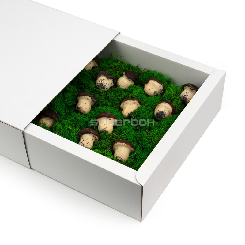 White Large Sleeve Gift Box from Corrugated Board