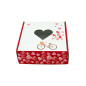 Box with PVC Heart Window and Bicycle