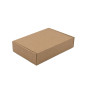 Brown Rectangular Shipping Box of 5 cm Height