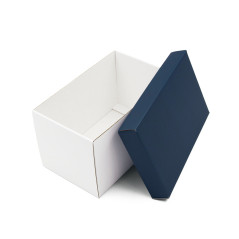 Cardboard Box with Blue Lid