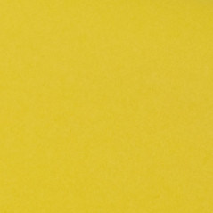 Yellow Silk Paper, No. 11