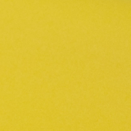 Yellow Silk Paper, No. 11