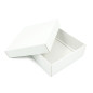 White Square Medium Size Gift Box of Height 8 cm with a Lid