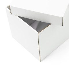 White Deep Cardboard Box with Lid for Packing Nuts