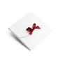 Very Fancy Small White Envelope Tied With a Ribbon