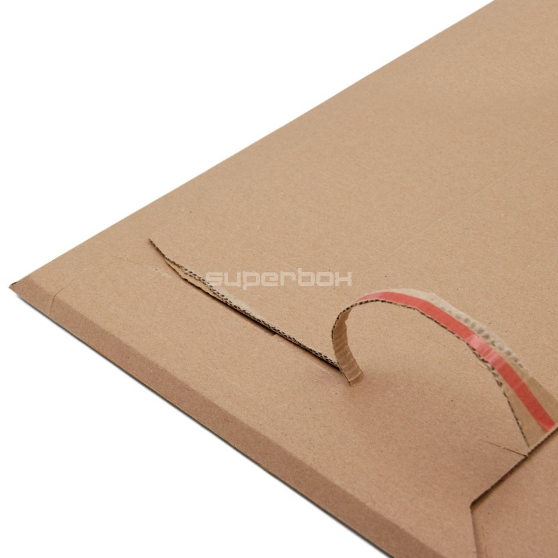 Eco-friendly Medium-sized Cardboard Envelope