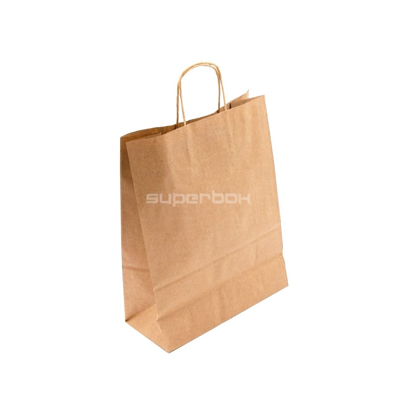 Brown Eco Paper Bag with Twist Paper Handles