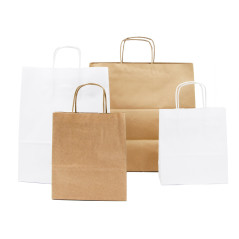 White Paper Bag with Twist Paper Handles