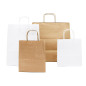 Large Brown Eco Paper Bag with Twist Paper Handles