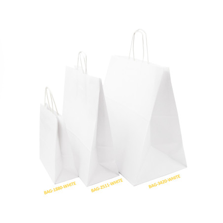 Paper Bag White with Twisted Paper Handles, Small
