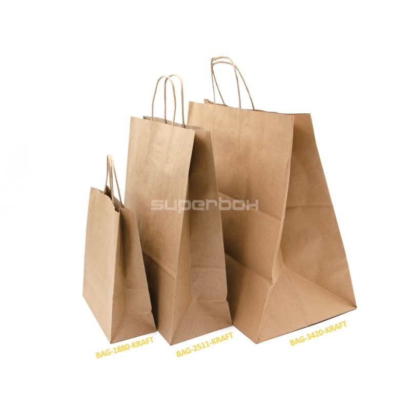 Brown Eco Paper Bag with Twist Paper Handles