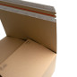 Large Shipping Box with Adhesive Tape and Tear-off Tape