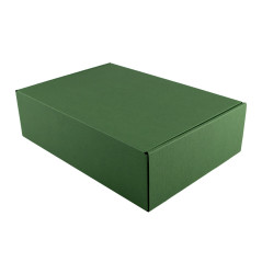 Green A4 format premium box | 305x215x85 mm | Superbox