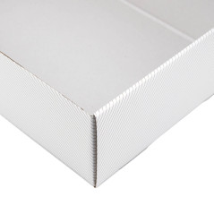 White With Gold Lines A4 Size Gift Box | 305x215x85 mm | Superbox