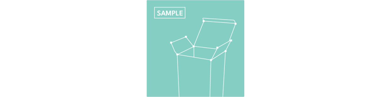 Packaging Sample Production